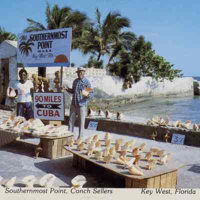 Southernmost Point, Conch Sellers