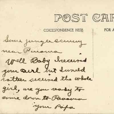 Some Jungle Scenery Near Panama: © Key West Art & Historical Society