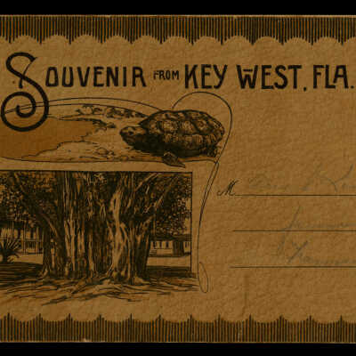 Souvenir From Key West, Fla.
