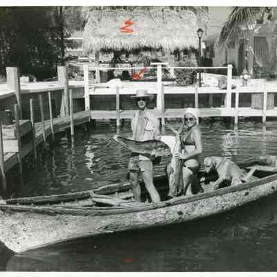 Fresh Caught Mahi Mahi