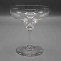 Champagne Coupe