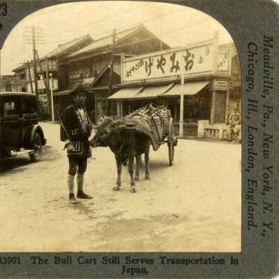 The Bull Cart Still Serves Transportation in Japan