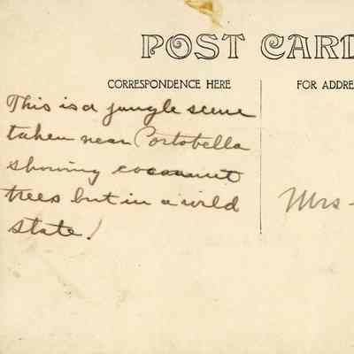 Coconut Trees Near Portobelo: © Key West Art & Historical Society