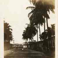 Where Cristobal Meets Colon