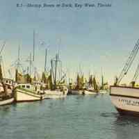 Shrimp Boats at the Dock, Key West, Florida