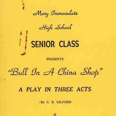 'Bull in a China Shop' Program