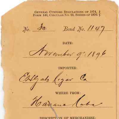 Customs Import Receipt