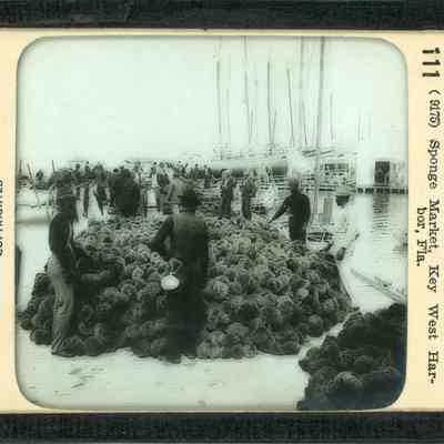Sponge Market, Key West Harbor, Fla.
