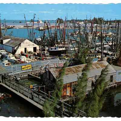 Turtle Kraals and Shrimp Fleet