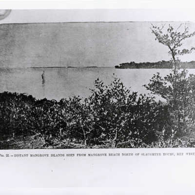 North Beach on Key West