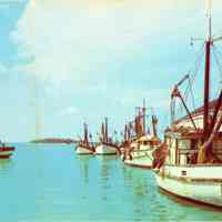Shrimp Fleet and Docks at Key West, Florida