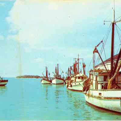 Shrimp Fleet and Docks at Key West, Florida