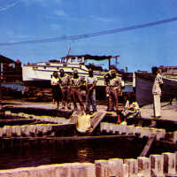 Turtle Crawls, Key West, Fla.