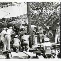 Filming of 
