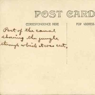 Jungle on the Panama Canal: © Key West Art & Historical Society