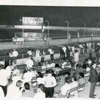 Dog Racetrack