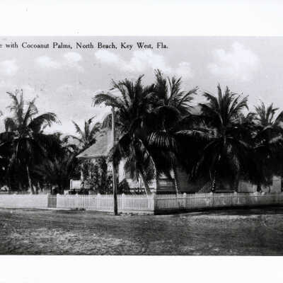Cottage With Cocoanut Palms, North Beach, Key West, Fla.