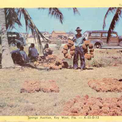 Sponge Auction, Key West, Fla.