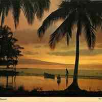 Colorful Florida Sunset