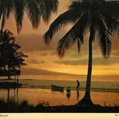 Colorful Florida Sunset