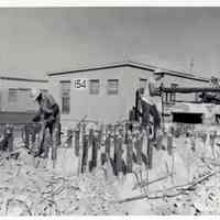 Construction Workers on Naval Station Key West