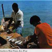Panfish, Southern Most Point, Key West