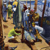 Fishing is Good in Florida Waters