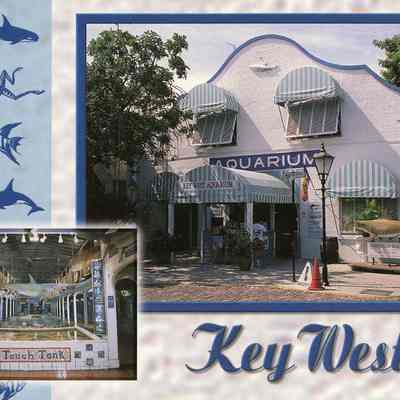 Key West Aquarium