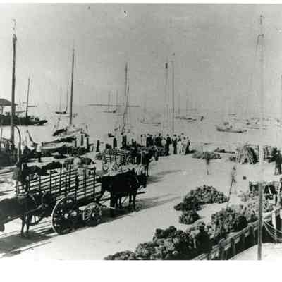 Sponge Sale at Key West Bight