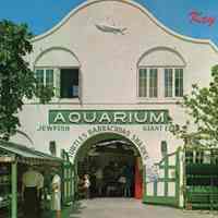 Key West Aquarium