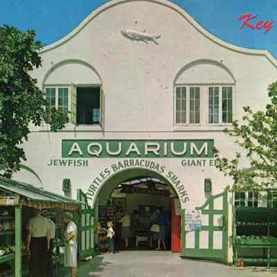 Key West Aquarium