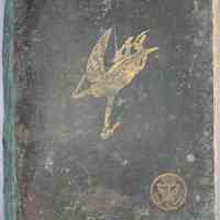 Official and Illustrated War Record