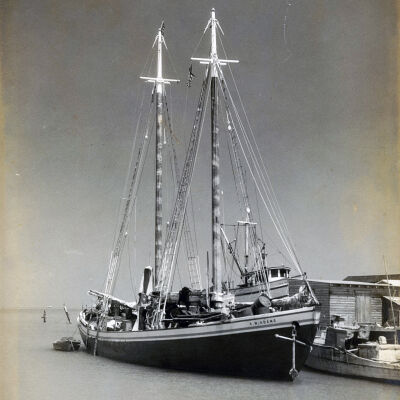 A MAITLAND ADAMS at Thompson Dock