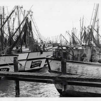 Key West Shrimp Fleet