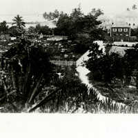 Green Turtle Cay Cemetery