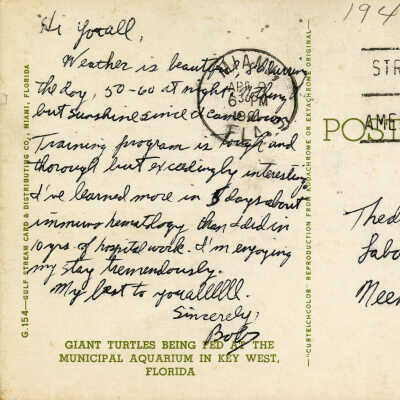 Feeding Turtles at the Key West Aquarium: © Key West Art & Historical Society