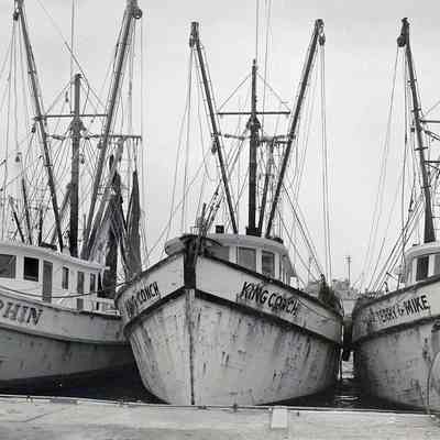Shrimp Boats at Key West Bight
