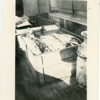 Crate of Fish