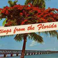 Greetings from the Florida Keys