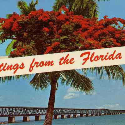 Greetings from the Florida Keys