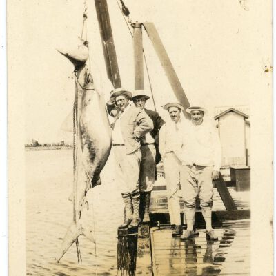 Four Men Standing by Hanging Shark