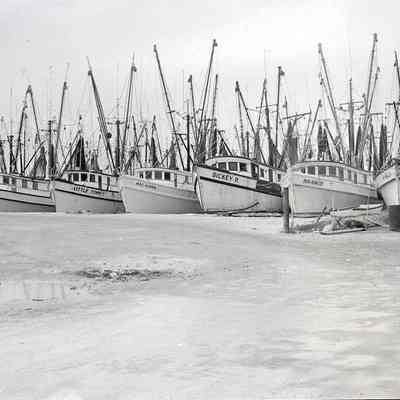 Shrimp Boat in Key West Bight