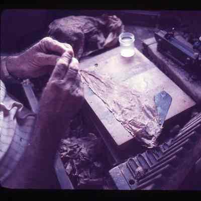 Cigar Making