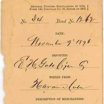 Customs Import Receipt