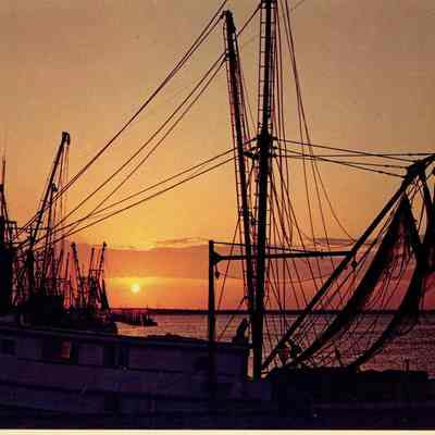 Scenic Feelings of Florida