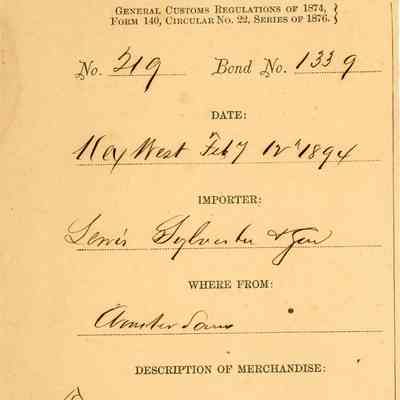 Customs Import Receipt