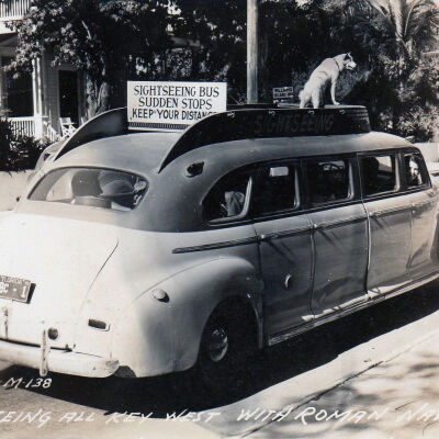 Ramon Navarro Sightseeing Bus