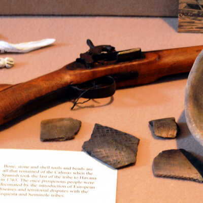 Spanish Percussion Blunderbuss