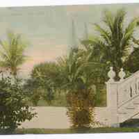 Catholic Church Grounds, Key West, Fla.