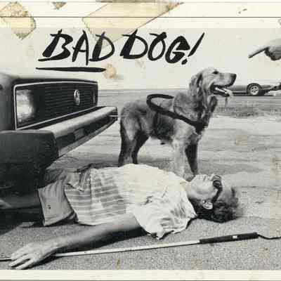 Bad Dog!